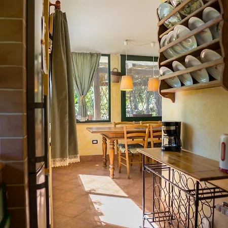 Fattoria Dei Piani Srl *