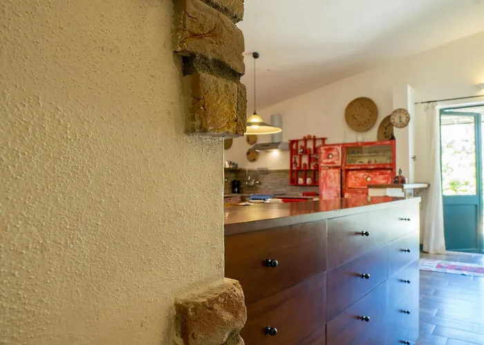 Fattoria Dei Piani Srl