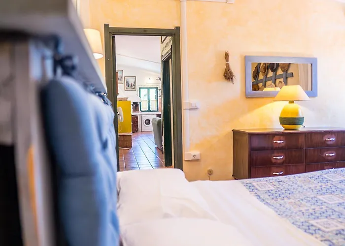 Fattoria Dei Piani Srl *