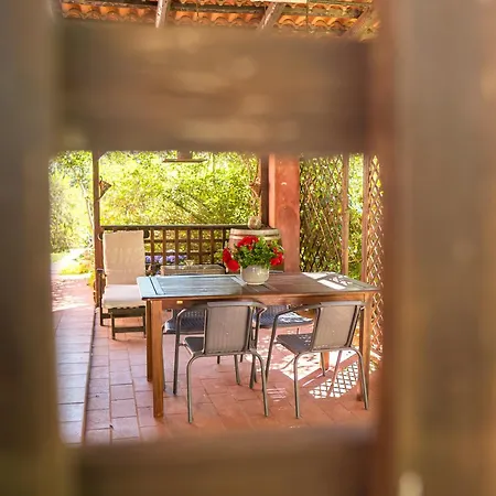 Fattoria Dei Piani Srl Vakantiehuis Olmedo