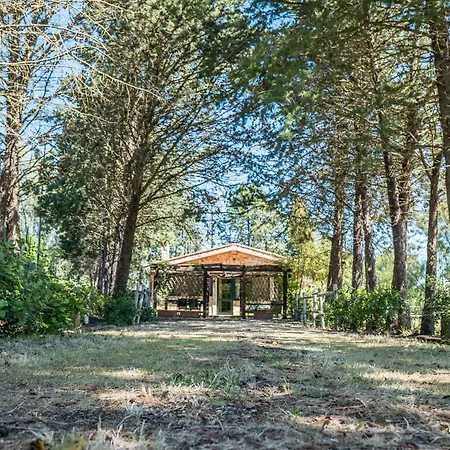 Nyaraló Fattoria Dei Piani Srl Olmedo