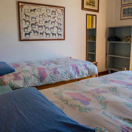 Fattoria Dei Piani Srl أولميدو