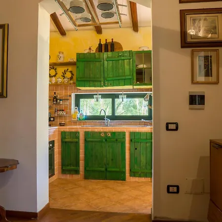Fattoria Dei Piani Srl * Olmedo