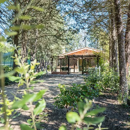 Fattoria Dei Piani Srl 度假居 *