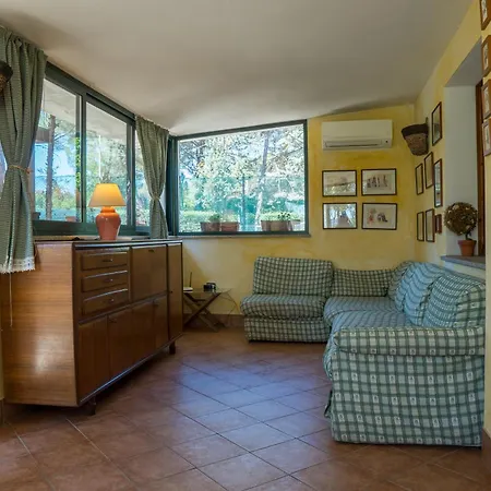 Fattoria Dei Piani Srl