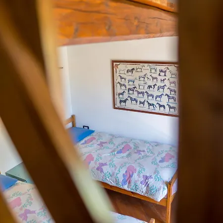 Fattoria Dei Piani Srl *