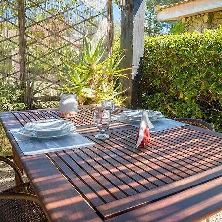 Fattoria Dei Piani Srl *