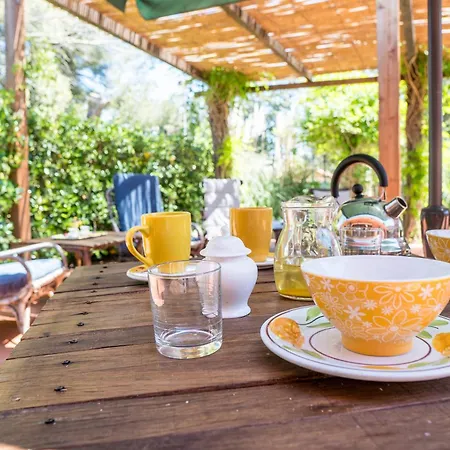 Fattoria Dei Piani Srl * أولميدو