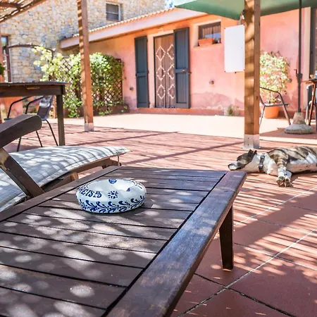 Fattoria Dei Piani Srl أولميدو