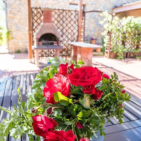 Fattoria Dei Piani Srl بيت للعطل أولميدو